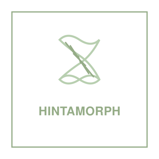 Логотип Hintamorph
